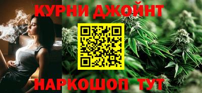 спайс Кингисепп