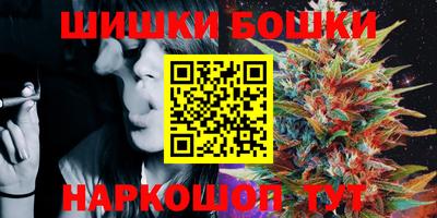 спайс Кингисепп