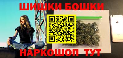 спайс Кингисепп