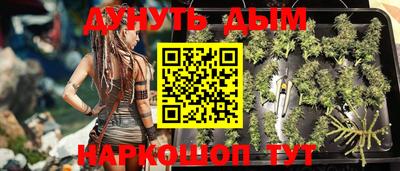 спайс Кингисепп