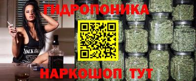 прущие крисы Кинель