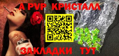 спайс Кингисепп