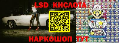 спайс Кингисепп