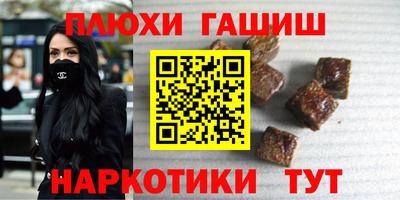 спайс Кингисепп