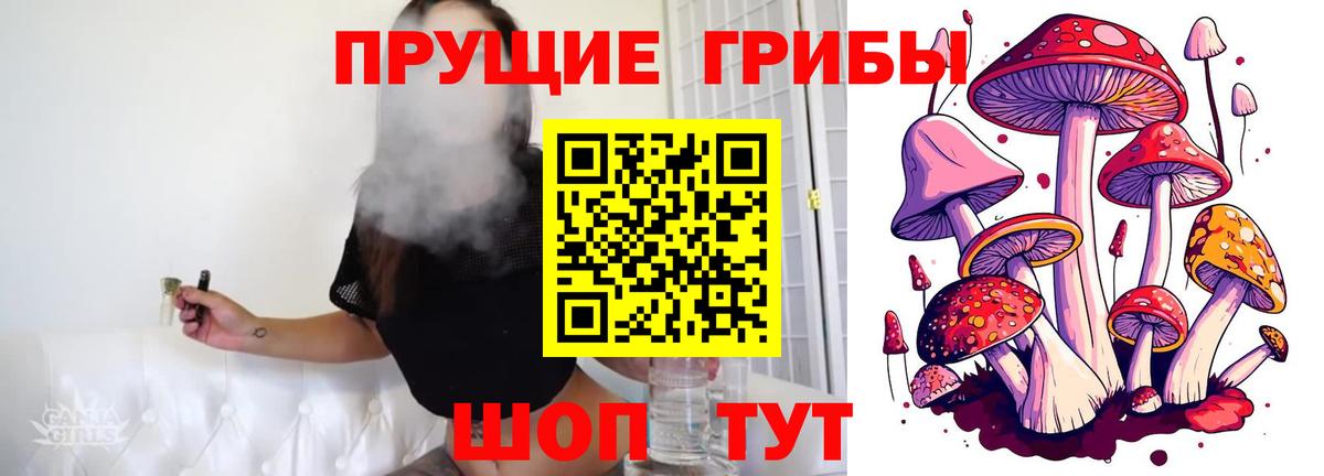 Южноуральск  Псилоцибиновые грибы GOLDEN TEACHER  Вход с VPN 
